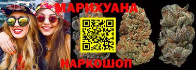 индика Кандалакша