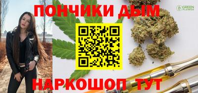 индика Кандалакша