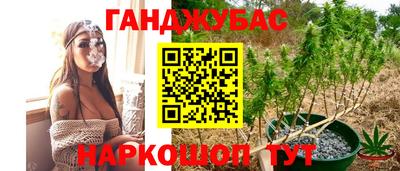 ПСИЛОЦИБИНОВЫЕ ГРИБЫ Канаш
