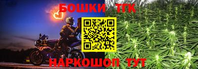 ПСИЛОЦИБИНОВЫЕ ГРИБЫ Канаш