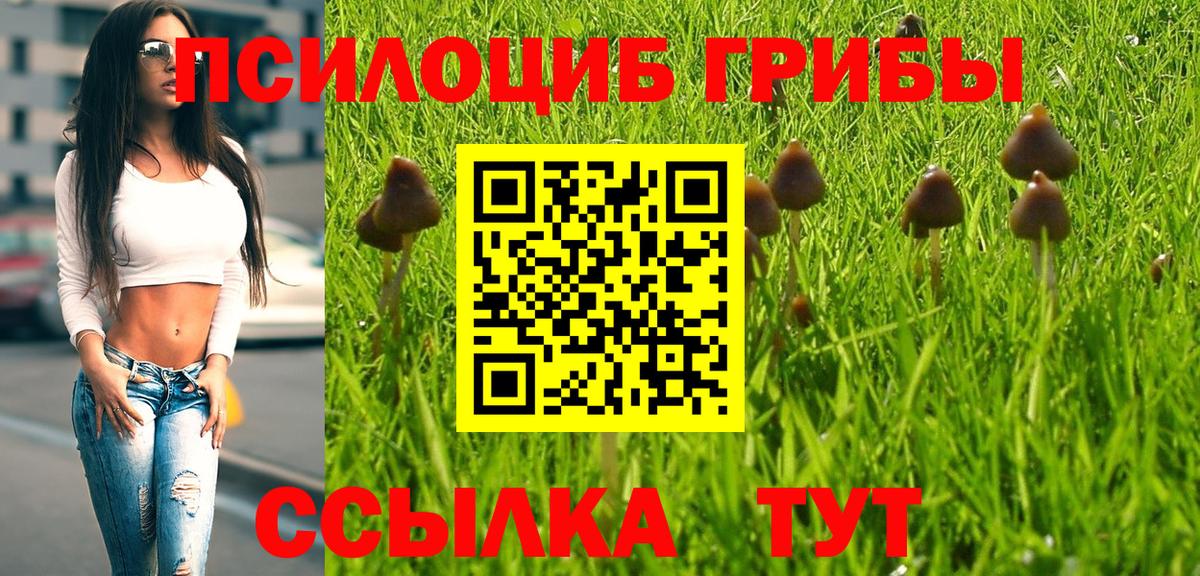Каменск-Уральский  Галлюциногенные грибы мицелий  Псилоцибиновые грибы Cubensis  Вход с VPN 