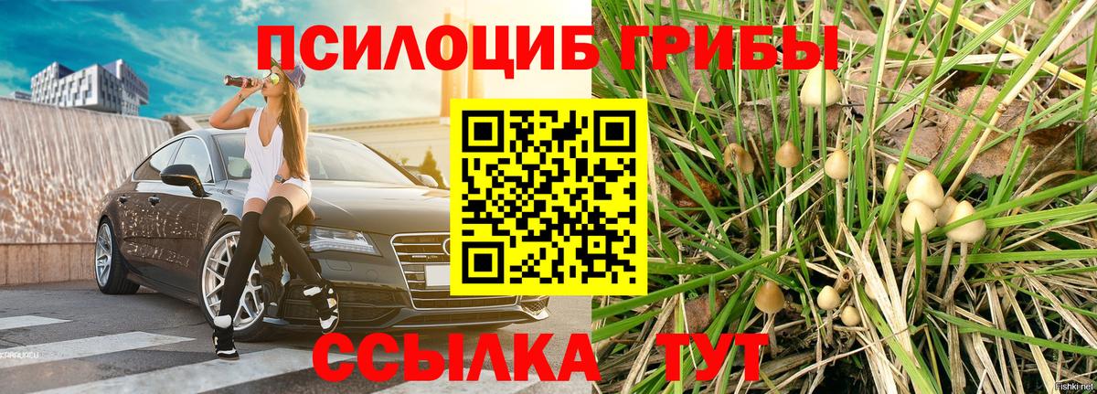 Галлюциногенные грибы Cubensis Каменск-Уральский